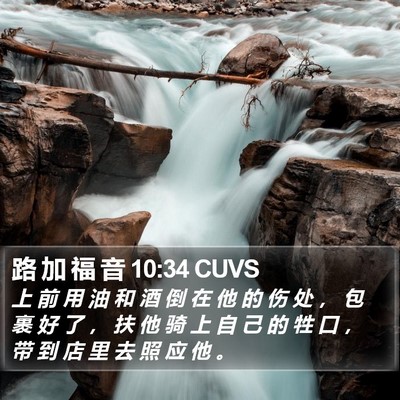 路 加 福 音 10:34 CUVS Bible Verse Image