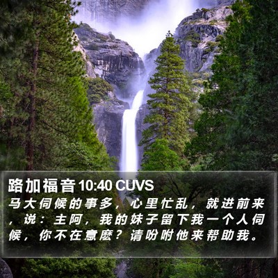 路 加 福 音 10:40 CUVS Bible Verse Image