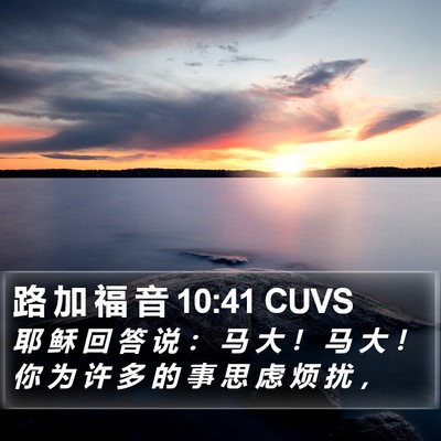 路 加 福 音 10:41 CUVS Bible Verse Image