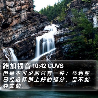 路 加 福 音 10:42 CUVS Bible Verse Image