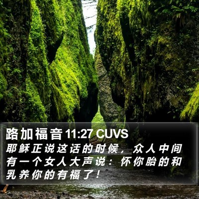路 加 福 音 11:27 CUVS Bible Verse Image