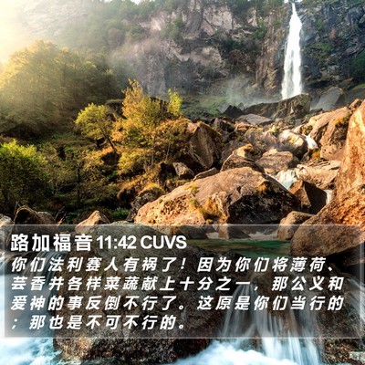 路 加 福 音 11:42 CUVS Bible Verse Image