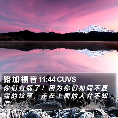 路 加 福 音 11:44 CUVS Bible Verse Image