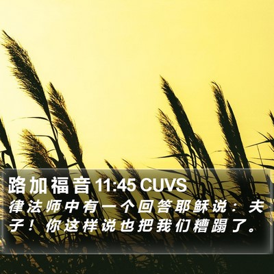 路 加 福 音 11:45 CUVS Bible Verse Image