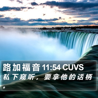 路 加 福 音 11:54 CUVS Bible Verse Image