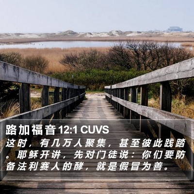 路 加 福 音 12:1 CUVS Bible Verse Image