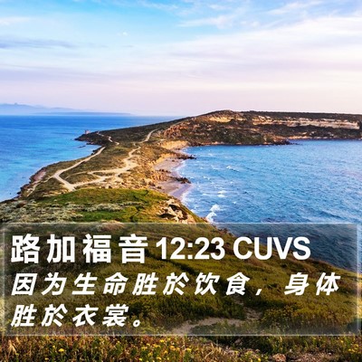 路 加 福 音 12:23 CUVS Bible Verse Image