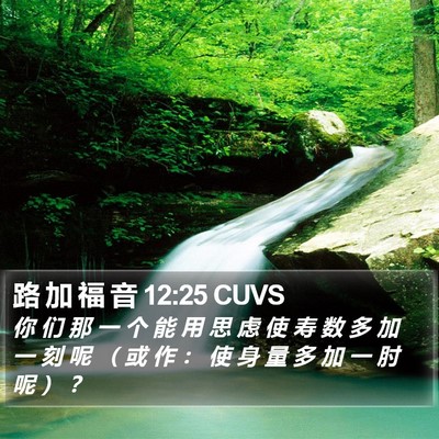 路 加 福 音 12:25 CUVS Bible Verse Image