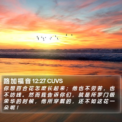 路 加 福 音 12:27 CUVS Bible Verse Image