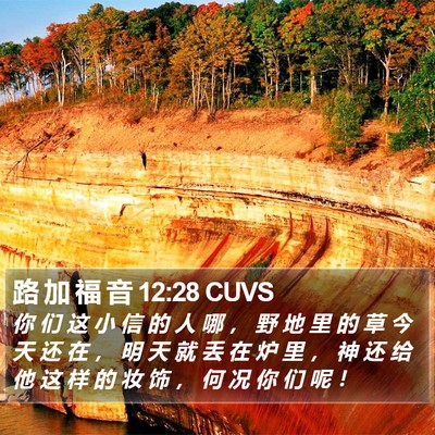 路 加 福 音 12:28 CUVS Bible Verse Image