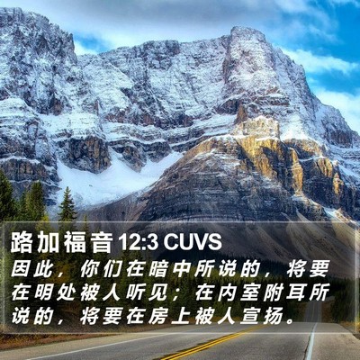路 加 福 音 12:3 CUVS Bible Verse Image