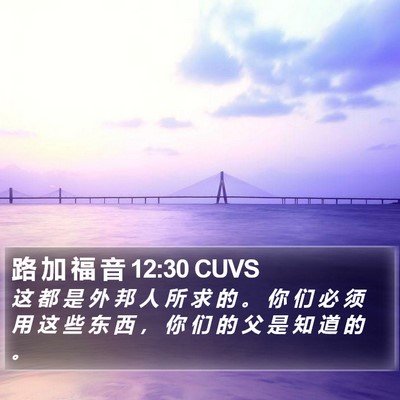路 加 福 音 12:30 CUVS Bible Verse Image