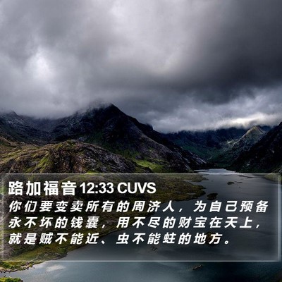 路 加 福 音 12:33 CUVS Bible Verse Image