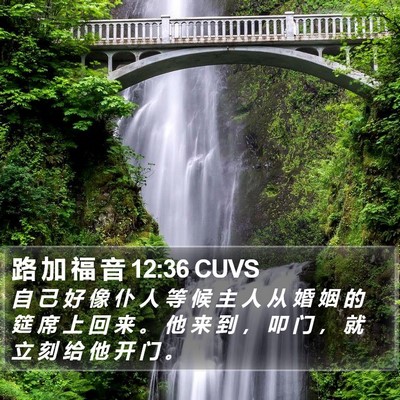 路 加 福 音 12:36 CUVS Bible Verse Image
