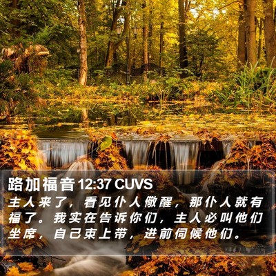路 加 福 音 12:37 CUVS Bible Verse Image
