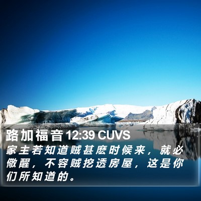 路 加 福 音 12:39 CUVS Bible Verse Image