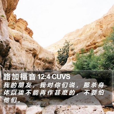 路 加 福 音 12:4 CUVS Bible Verse Image