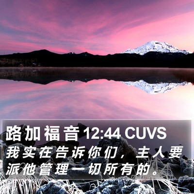 路 加 福 音 12:44 CUVS Bible Verse Image