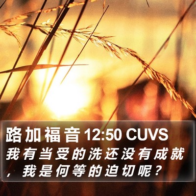 路 加 福 音 12:50 CUVS Bible Verse Image