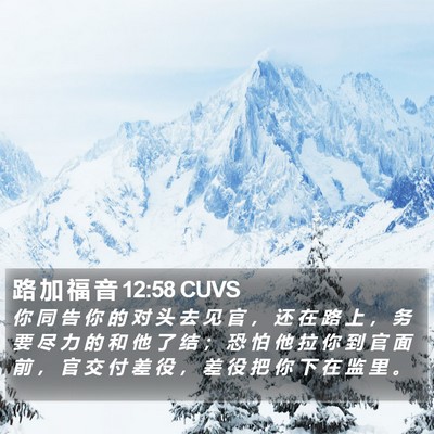 路 加 福 音 12:58 CUVS Bible Verse Image