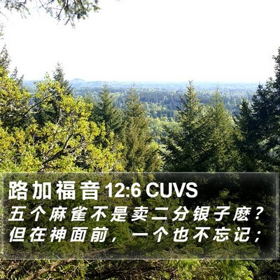路 加 福 音 12:6 CUVS Bible Verse Image