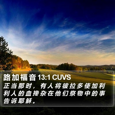 路 加 福 音 13:1 CUVS Bible Verse Image