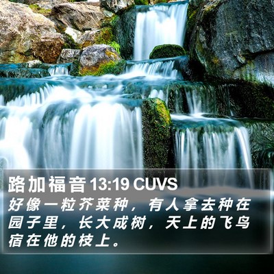 路 加 福 音 13:19 CUVS Bible Verse Image