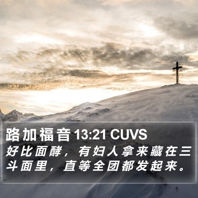 路 加 福 音 13:21 CUVS Bible Verse Image