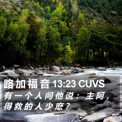 路 加 福 音 13:23 CUVS Bible Verse Image