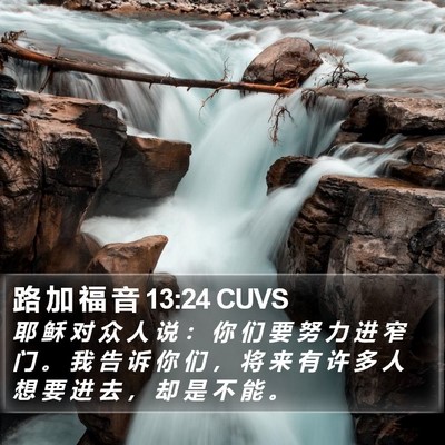 路 加 福 音 13:24 CUVS Bible Verse Image