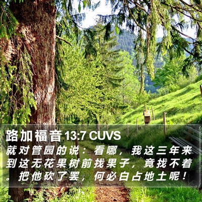 路 加 福 音 13:7 CUVS Bible Verse Image