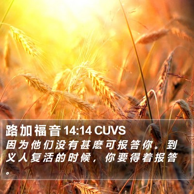 路 加 福 音 14:14 CUVS Bible Verse Image