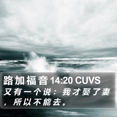 路 加 福 音 14:20 CUVS Bible Verse Image