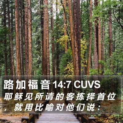 路 加 福 音 14:7 CUVS Bible Verse Image