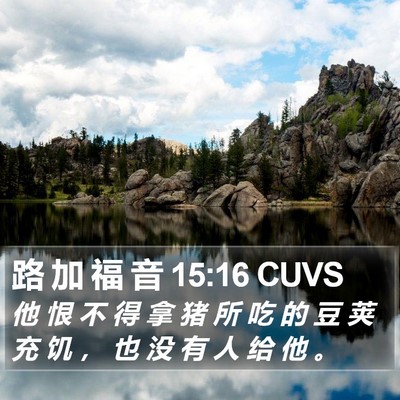 路 加 福 音 15:16 CUVS Bible Verse Image