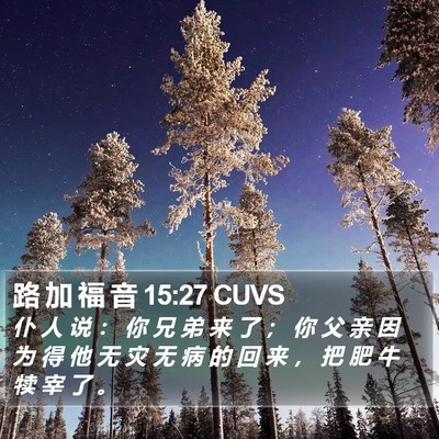 路 加 福 音 15:27 CUVS Bible Verse Image