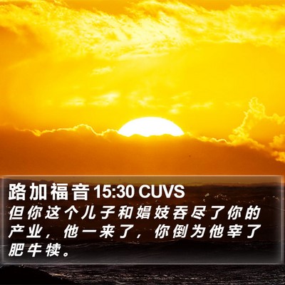 路 加 福 音 15:30 CUVS Bible Verse Image