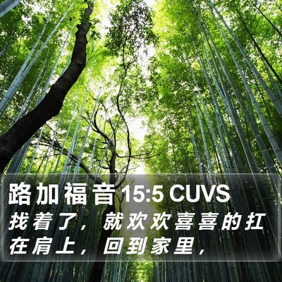 路 加 福 音 15:5 CUVS Bible Verse Image
