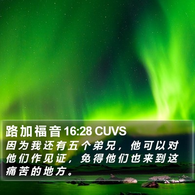 路 加 福 音 16:28 CUVS Bible Verse Image