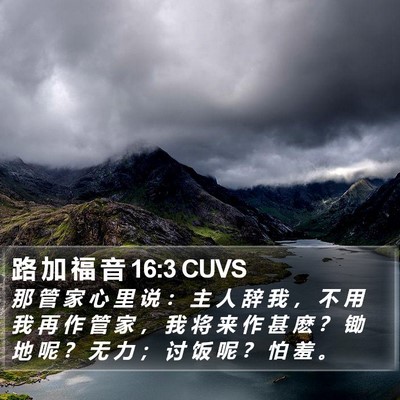 路 加 福 音 16:3 CUVS Bible Verse Image