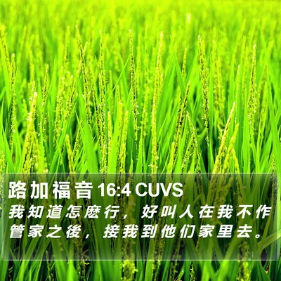 路 加 福 音 16:4 CUVS Bible Verse Image