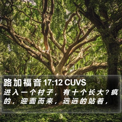 路 加 福 音 17:12 CUVS Bible Verse Image