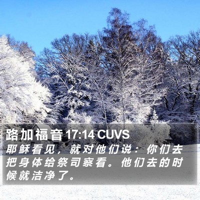 路 加 福 音 17:14 CUVS Bible Verse Image