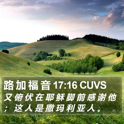 路 加 福 音 17:16 CUVS Bible Verse Image