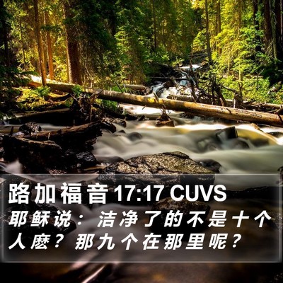路 加 福 音 17:17 CUVS Bible Verse Image