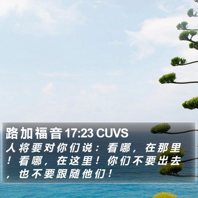路 加 福 音 17:23 CUVS Bible Verse Image
