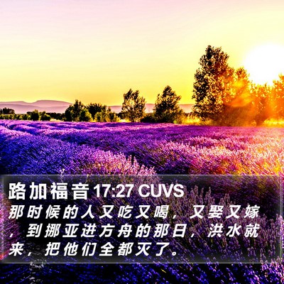 路 加 福 音 17:27 CUVS Bible Verse Image
