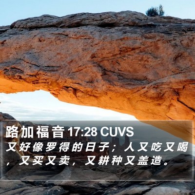 路 加 福 音 17:28 CUVS Bible Verse Image