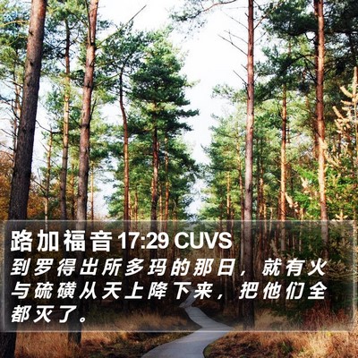路 加 福 音 17:29 CUVS Bible Verse Image