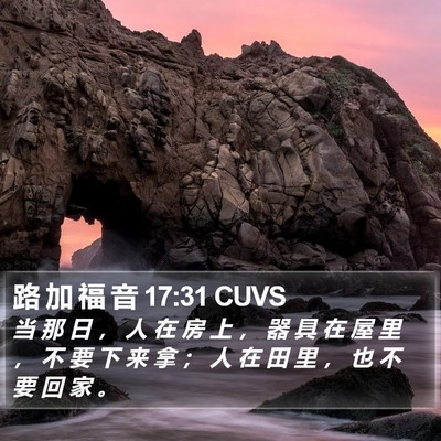 路 加 福 音 17:31 CUVS Bible Verse Image